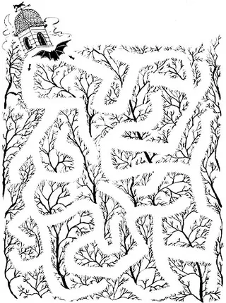 Bat maze