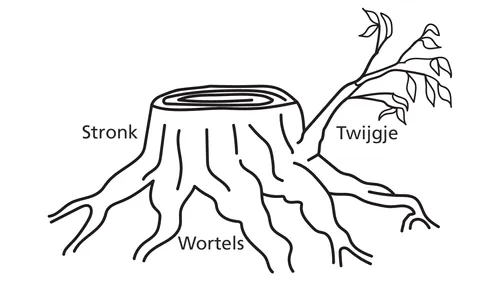 illustratie van een boomstronk