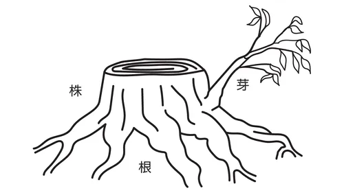 木の株の絵のイラスト