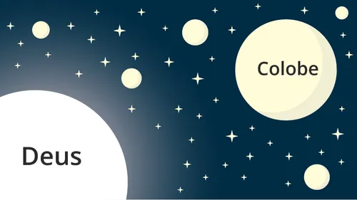 Colobe é representada como uma estrela ou planeta mais próximo de onde Deus reside