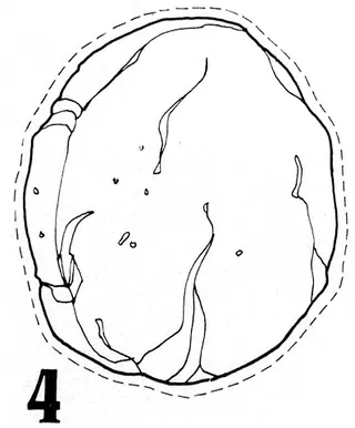 Soldiers guarded tomb