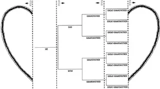 Family history heart