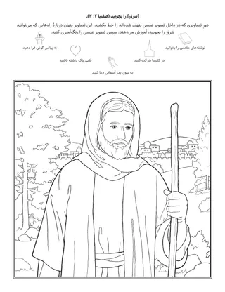 صفحهٔ فعالیت  ابتدایی: در طلب سَروَر باشید