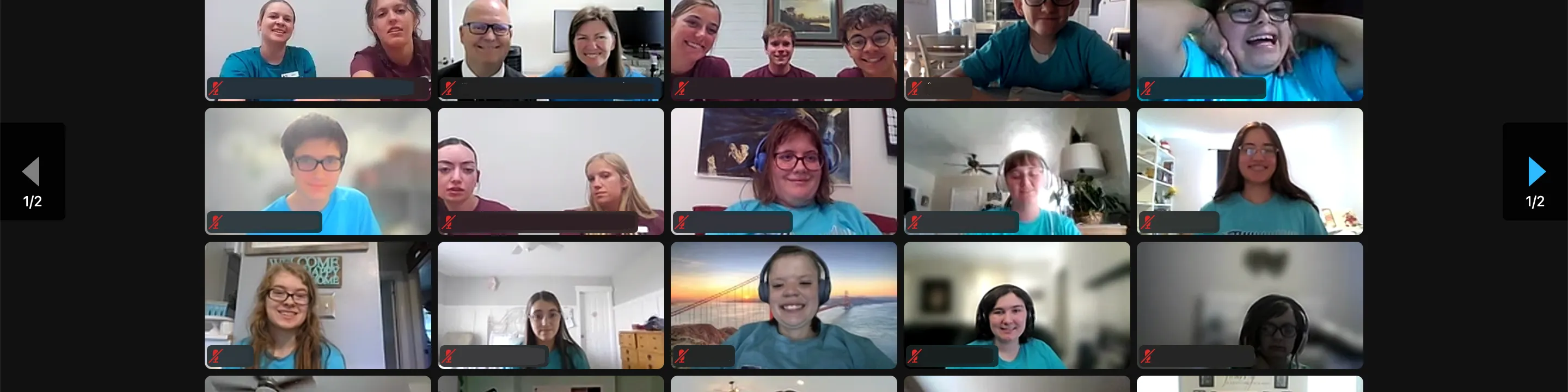 People taking part in the FSY Virtual Conference