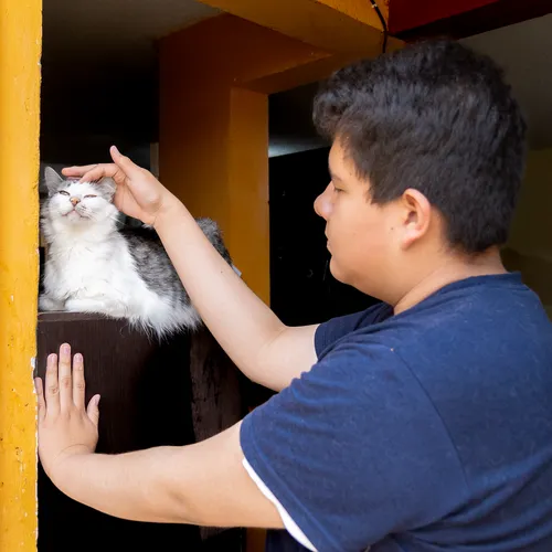 young man petting a cat
