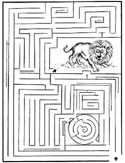 Maze