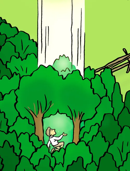 Illustration of the First Vision