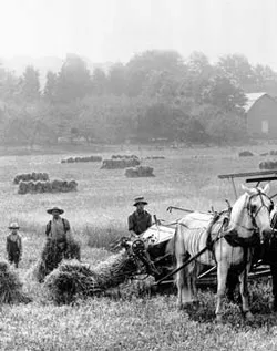 farmers harvesting field