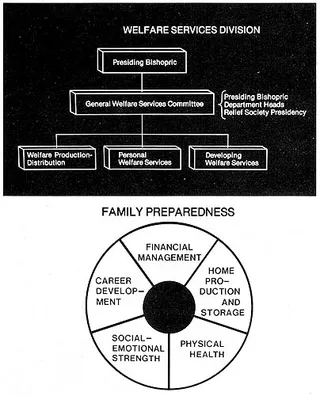Welfare Services Division of the Church