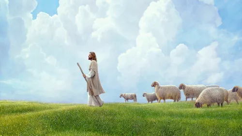 Jesus Christ leading a flock of sheep over a field of grass