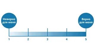 шкала оценки