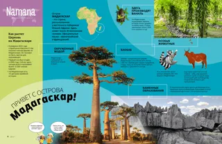 Страница в формате PDF с небольшой картой Африки и изображениями баобаба, скальных образований, ванили, лемура и зебу