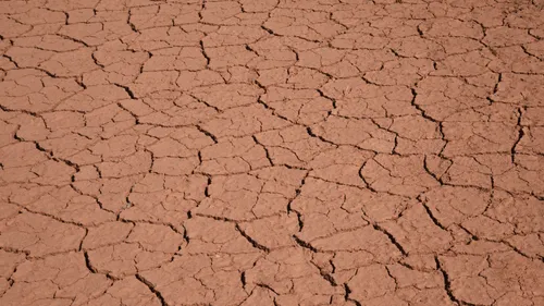 cracked earth during a drought