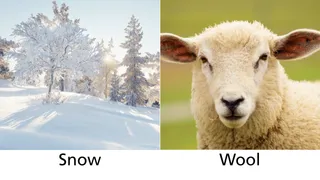 snow and wool